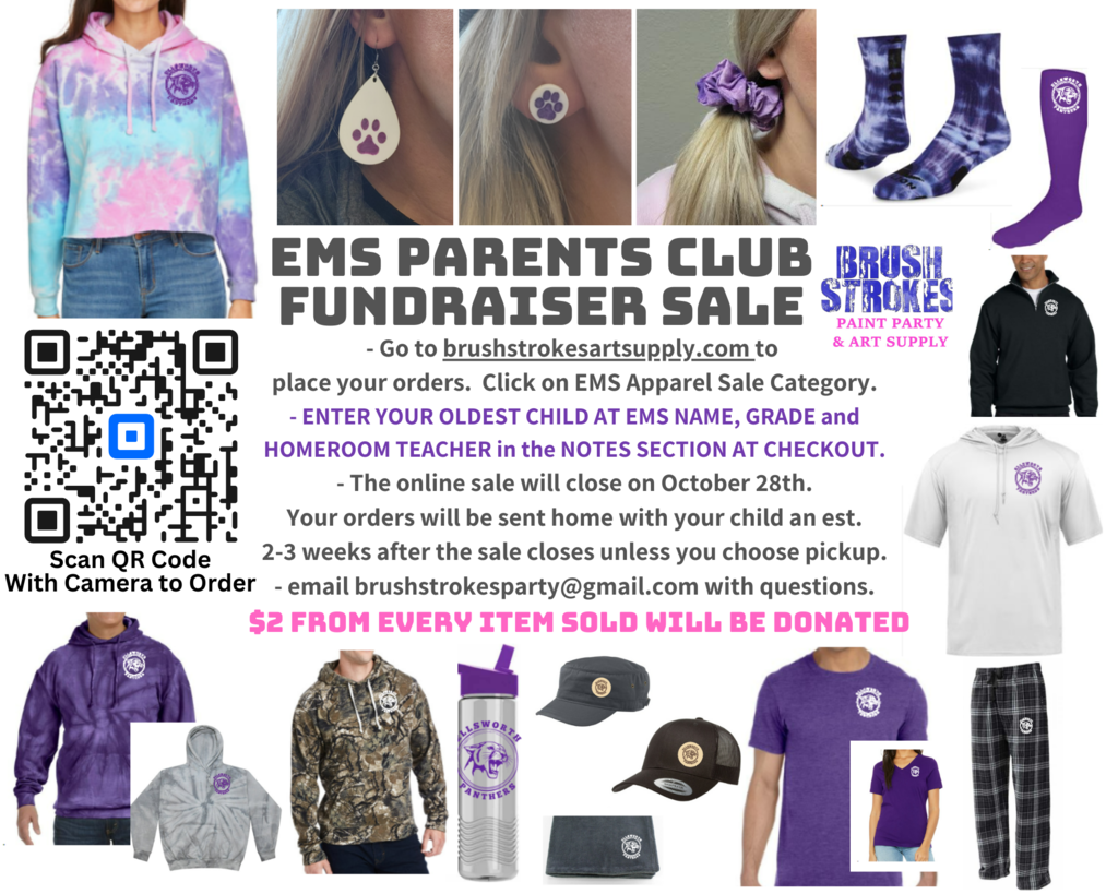 Live Feed Ellsworth Middle School